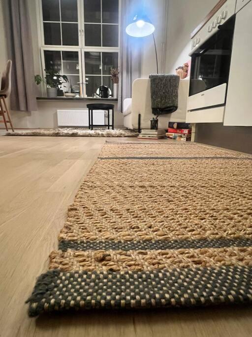 Koselig Leilighet I Sentrum Av Oslo Med Byutsikt! Luaran gambar
